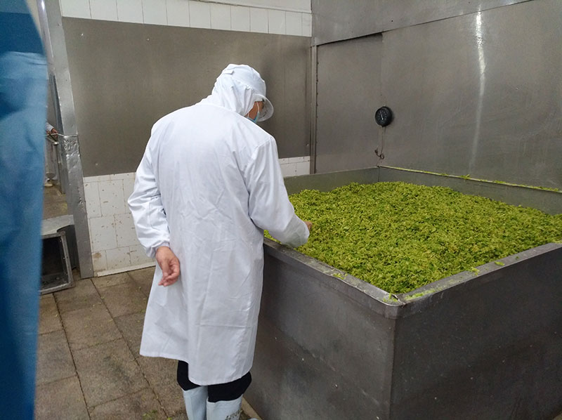客戶檢查脫水蔬菜產品
